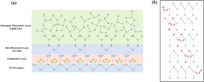 PCNFʪʾͼ