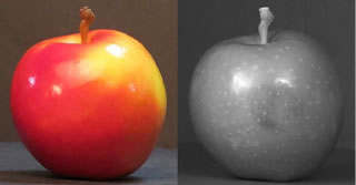 ʹüNeon ROICĶ̲̽ƻͼ