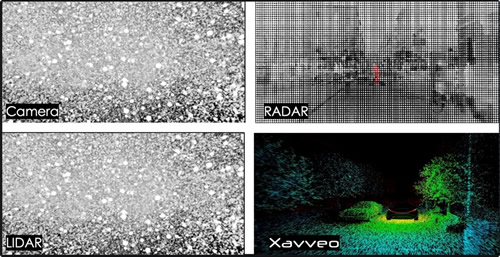 ѩȼͷϣ״ϣ״£Xavveo״£̽Ա