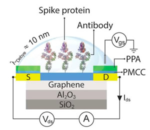 ͨNanoBioFETƽ̨gFETйܻʾͼ
