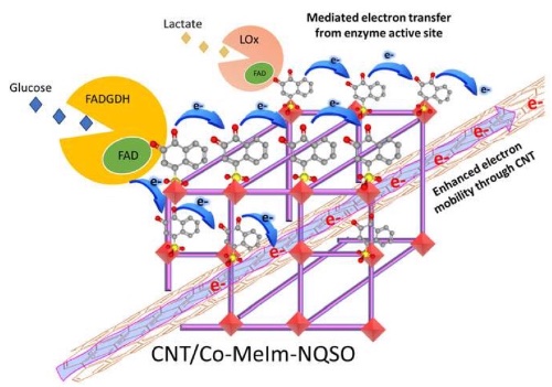 CNT/Co-MeIm-NQSO鵼øĵӴ;
