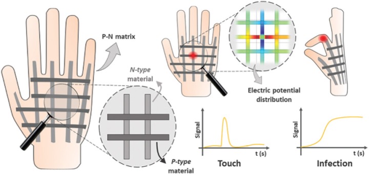 ���о���������ڼ��Ƥ������ˮƽ�¶��ݶȵ��ȵ����÷���