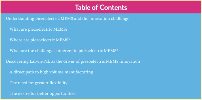 ƽѹMEMS£ⷨ뵼塰Lab-in-Fab½׶