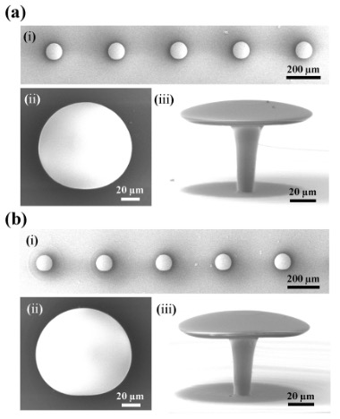 3D΢ӡLimaconWGM΢ǻɨ΢ͼ񣬣i΢ǻУii΢ǻķŴͼiii΢ǻķŴͼӽΪ80㣩
