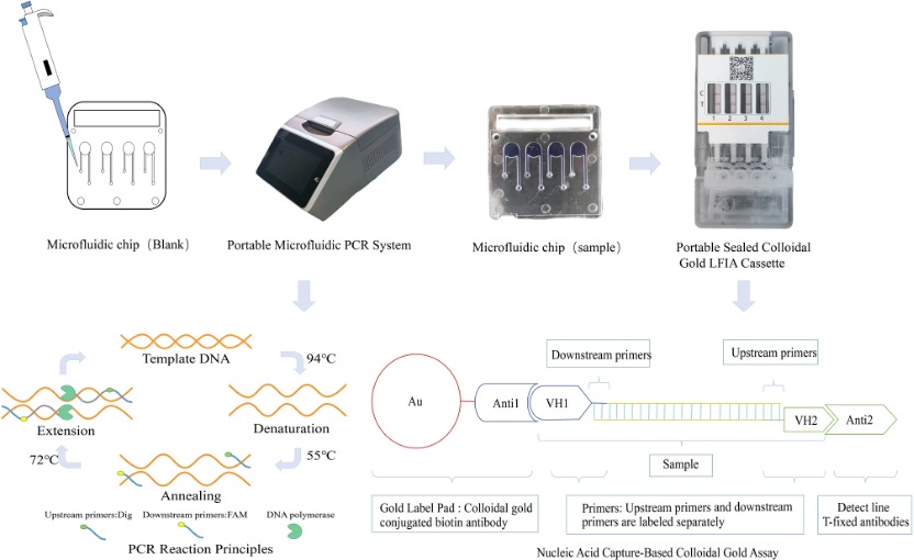 RT-PCR΢оƬɼĶؼϵͳ