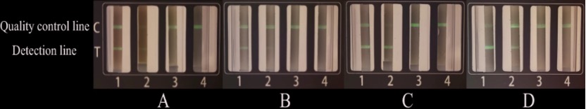 RT-PCR-LFD-MFCT