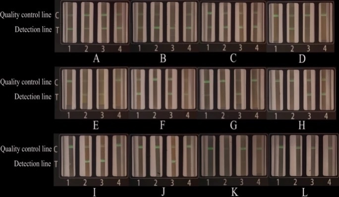 RT-PCR-LFD-MFCTϵͳ12ģٴ