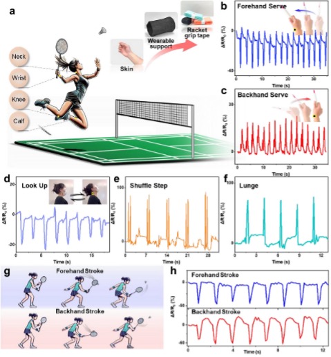 该柔性压力传感器在羽毛球训练运动中的监测应用