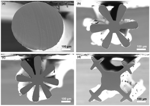 所制备的PVDF压电纤维的横截面形状:a) 圆形;b) 六瓣形;c) 八瓣形;d) 四十字形。