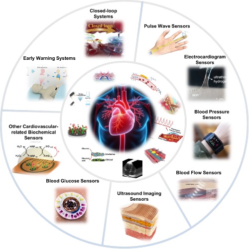 心血管健康监测应用的可穿戴传感器