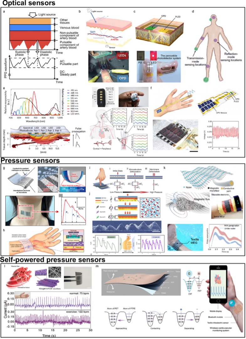 可穿戴脉搏波传感器
