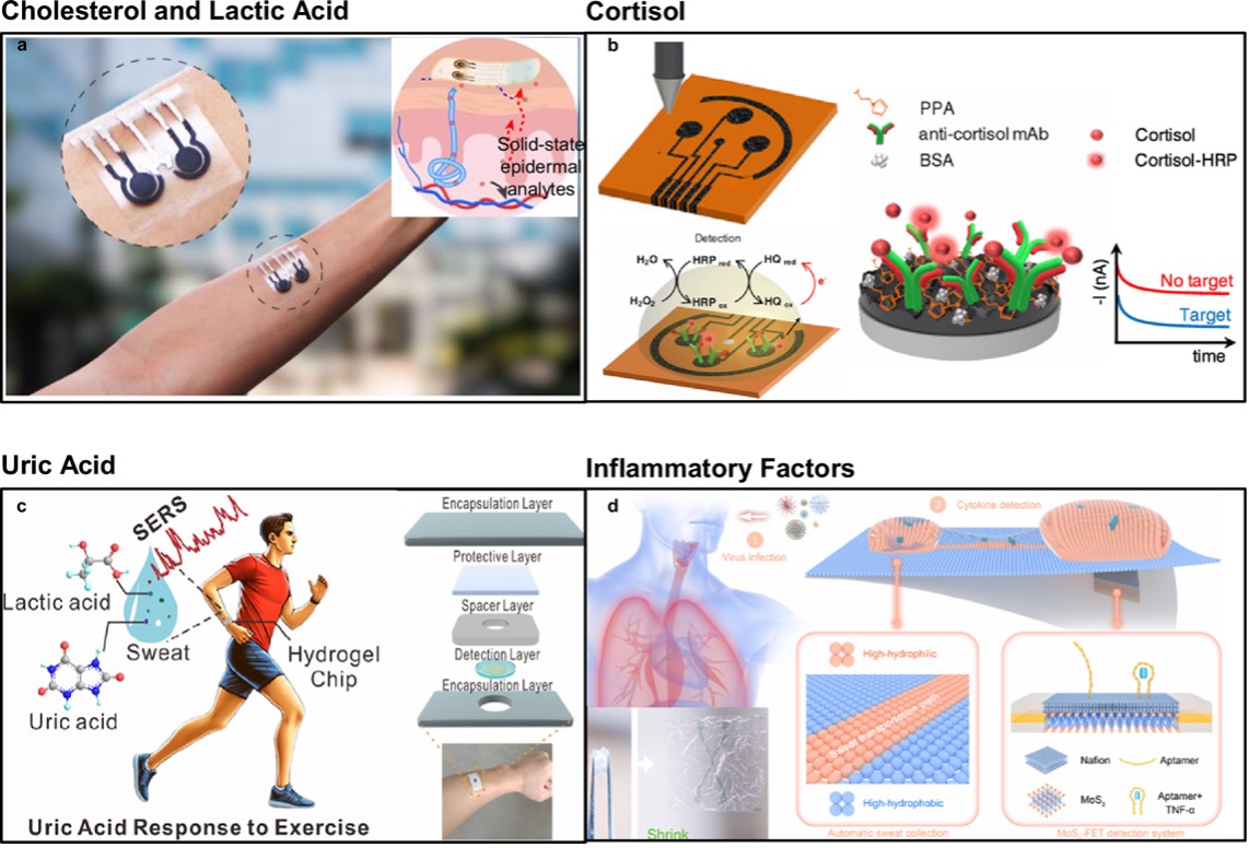 心血管健康监测相关的可穿戴生化传感器