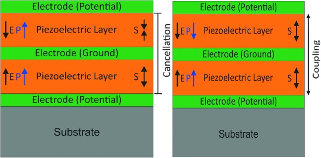 ˫㱡Ĥõ缫ת򻯶ṹ֮