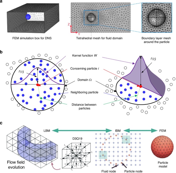 流体流动和流固相互作用的主要数值方法和耦合策略