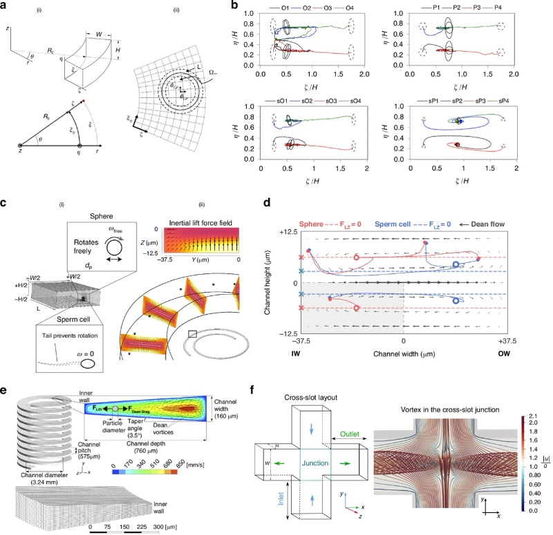 非直通道微流控器件的建模策略和结果