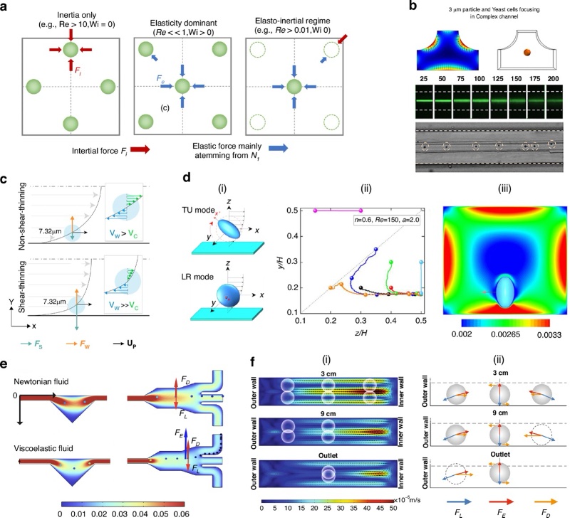弹性惯性聚焦机制和模拟非牛顿流体中颗粒迁移的最新进展