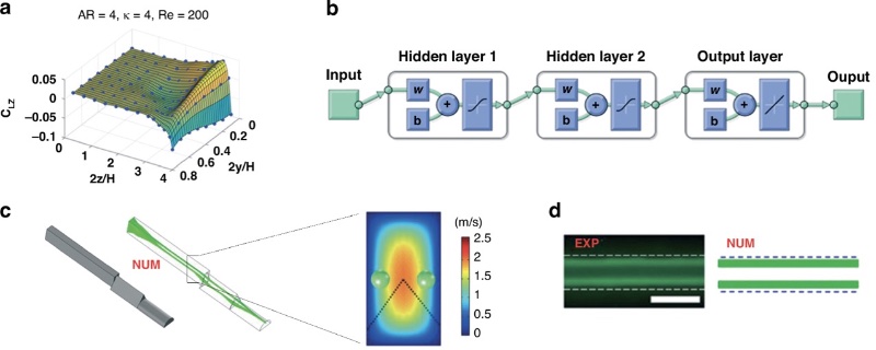 机器学习辅助预测颗粒惯性聚焦