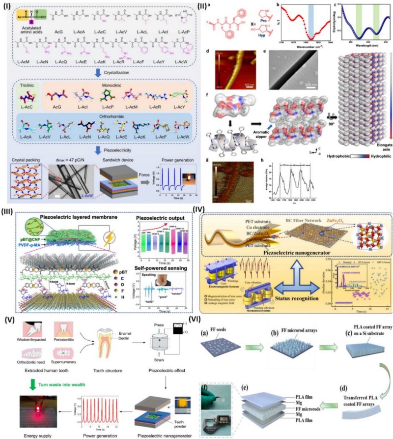 生物基与可降解压电材料的应用