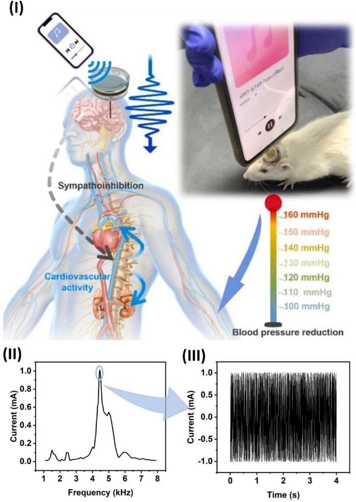 自供电的可生物降解植入物与压电换能器应用