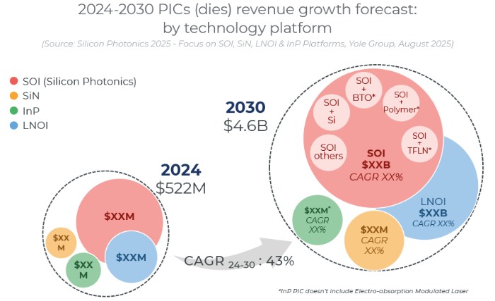20242030꼯ɹ·оƬгԤ⣨ƽ̨ϸ֣
