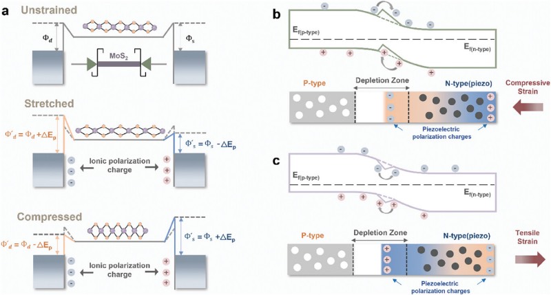 应变对MoS₂基器件压电电子学及压电光电子学性能的影响