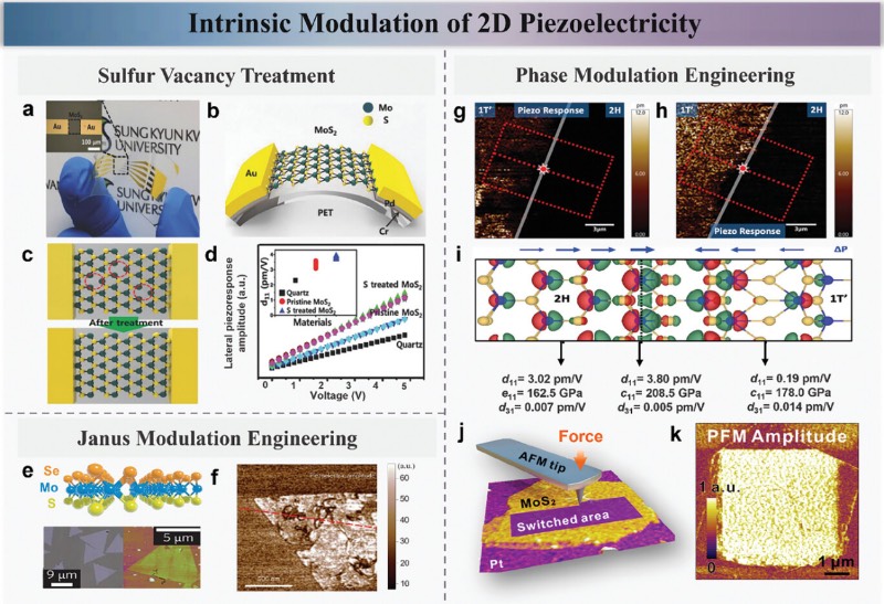 二维材料压电性能的本征调控