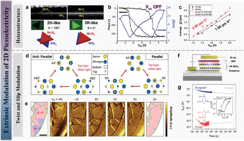 二维材料压电性能的外在调控
