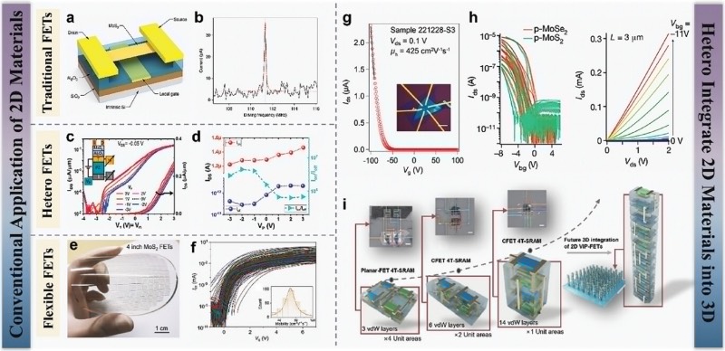 二维材料在压电电子学器件中的应用