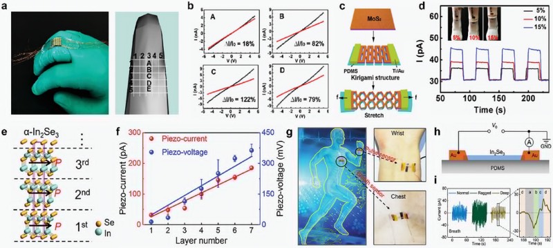 用于生物医疗领域的可穿戴压电传感器