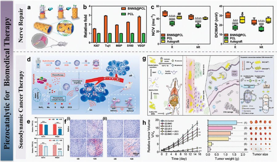 用于生物医学治疗的压电植入物
