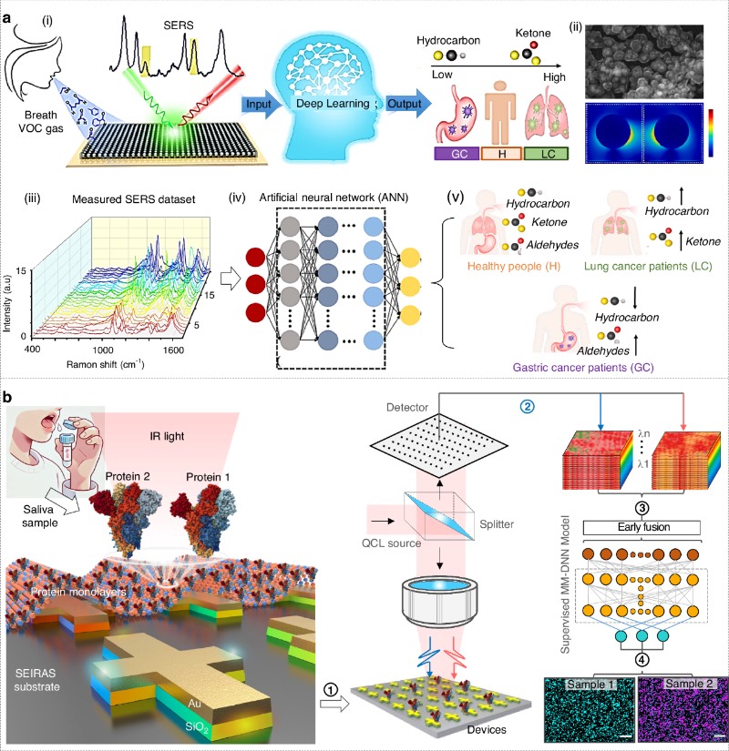 医疗保健和生物医学诊断应用