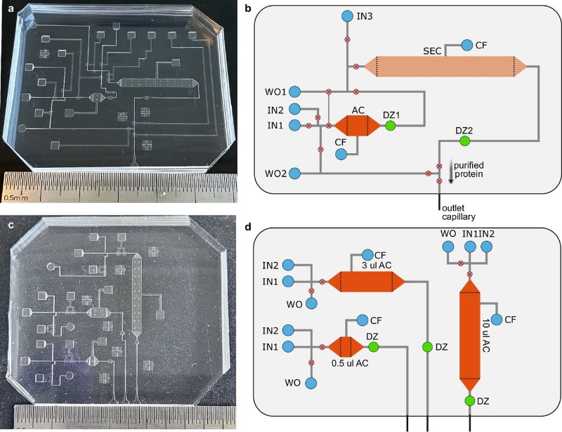 微流控蛋白质分离平台的微流控芯片设计