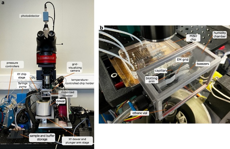 微流控蛋白质分离平台的实验设置