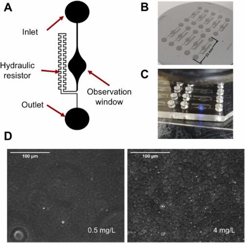 PDMS微流控免疫比浊芯片示意图