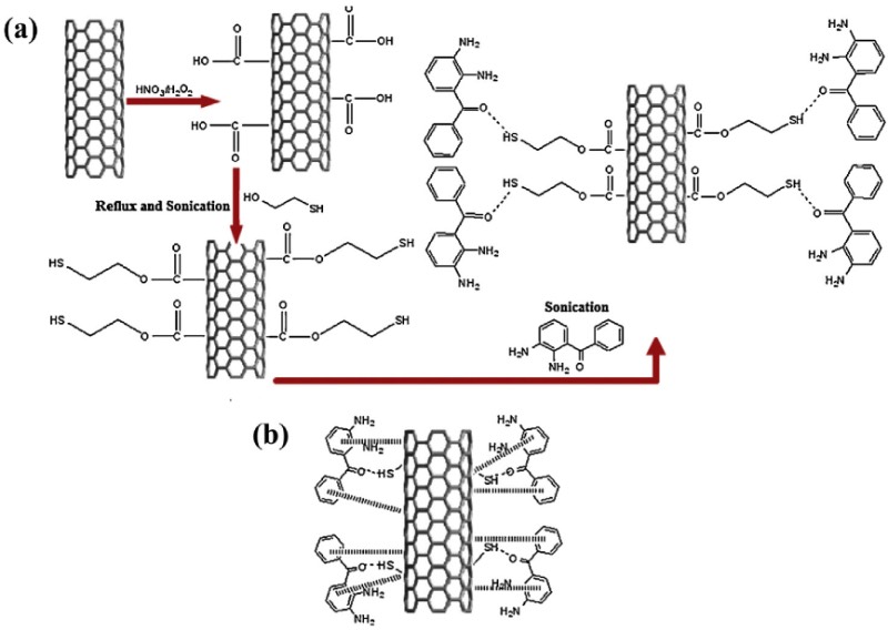 a̼׹ܣMWCNTܻ뽻Ӧb-жѵ