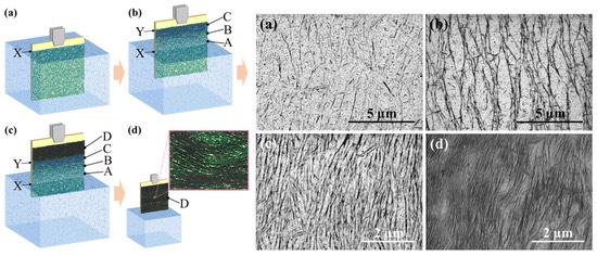 ˫㱡ĤƱպ͵̼׹ܣSWCNTʪ棨ͼ/棨ͼŹյɨ羵SEMͼ