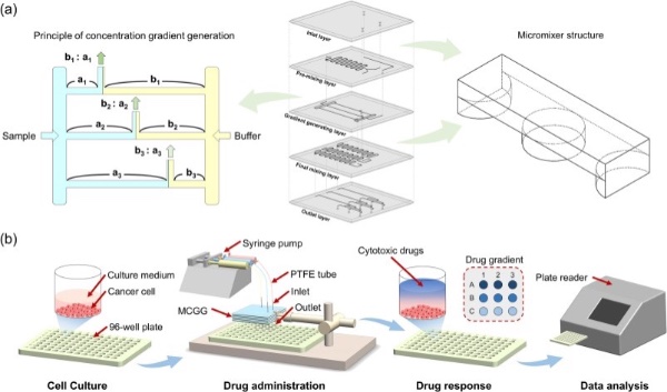 (a)多层微流控梯度发生器及浓度梯度生成原理示意图;(b)药物细胞毒性实验的工作流程。