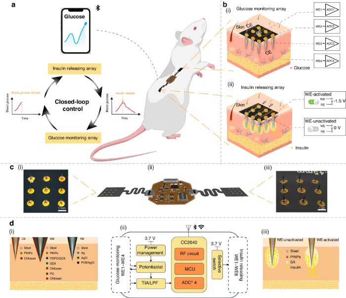 多通道可寻址血糖监测与胰岛素释放微针阵列系统的概念图