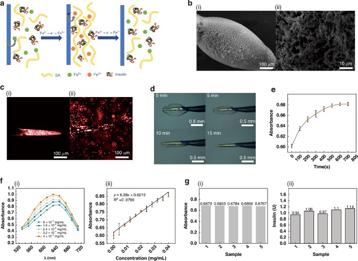 胰岛素释放微针的作用机制及体外表征