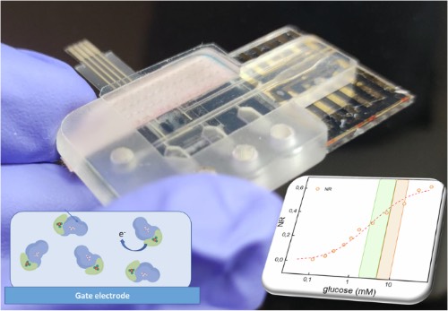 基于毛细管驱动微流控技术制造OECT葡萄糖传感器,探索精准且灵敏的血糖监测