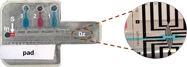 具有预编程序列的微流控器件及其与OECT的集成(放大图)