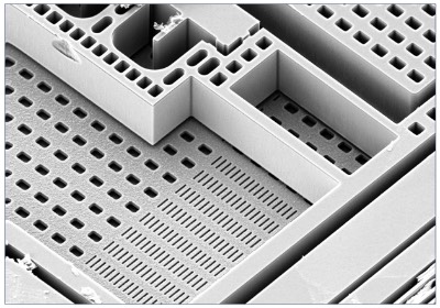 三轴MEMS加速度计BMA530传感区域的扫描电镜图