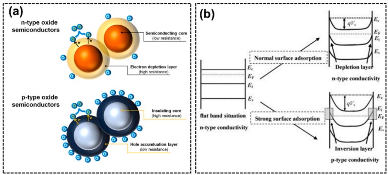 ���Ͳ��γ�