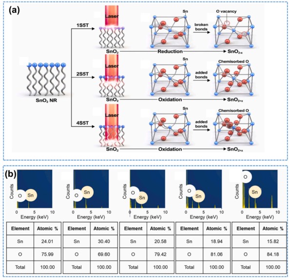 ȱ�ݽ鵼�ĵ絼ת��
