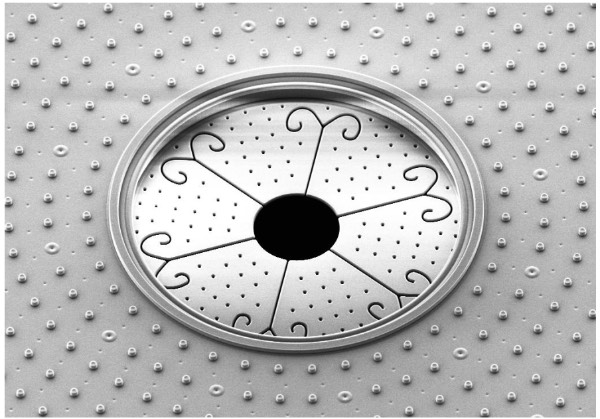 MEMS��˷��MEMSоƬɨ��羵��SEM��ͼ