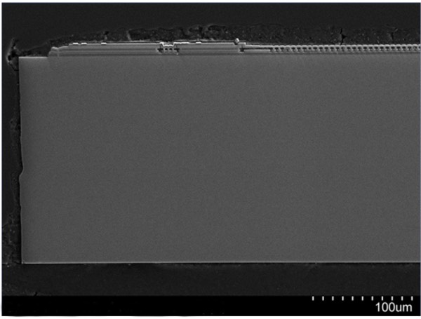 博世MEMS气压传感器BMP585芯片剖面图