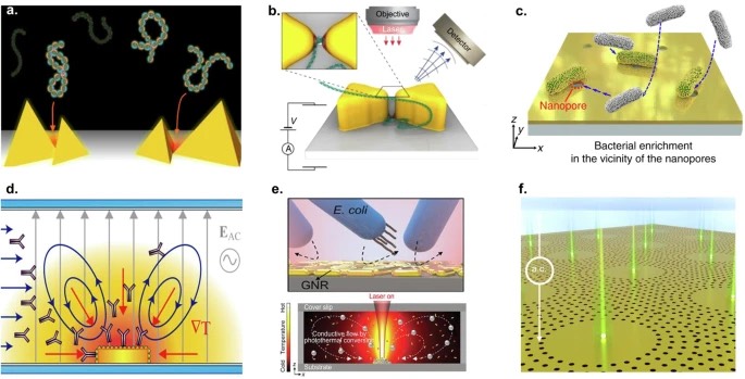  ͼ2 ����DNA��RNA�������ʡ������塢�����Ͳ�ԭ�����������ѡ���Բ���͸����ĵ��뼤Ԫ����