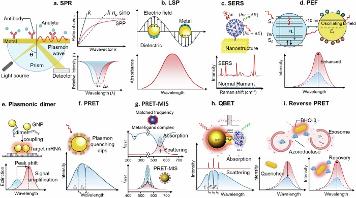 ���뼤Ԫ��ǿ�Ĺ�ѧ��ⷽ��