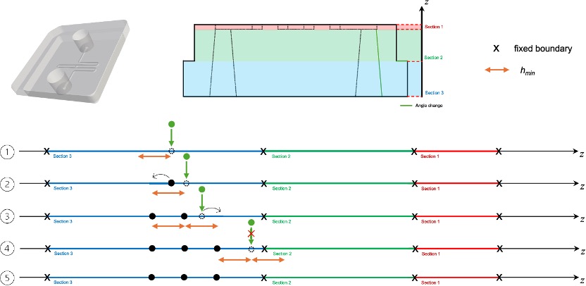 ��̬Z��߶�