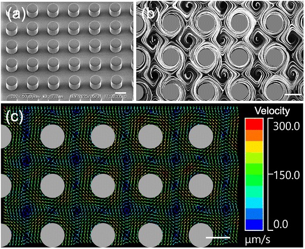 ����΢������΢����ƽ̨��ʵ��DNA������ľ�׼�ɿ�